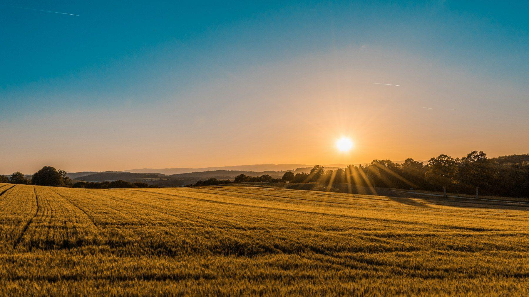 Campagne française au lever du soleil